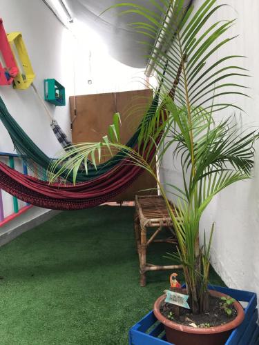 Rio De Janeiro Brazil Booking Discount agoda.com