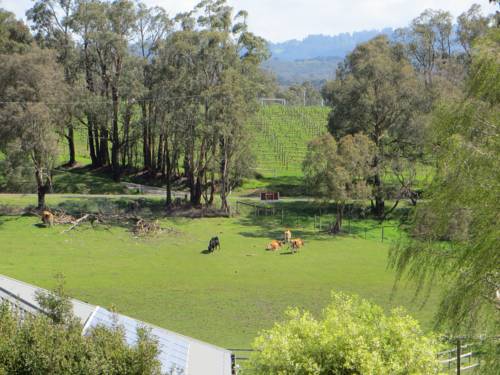 Seville Australia Booking Discount booking.com