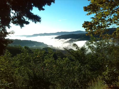 Cesena Italy Booking Discount booking.com