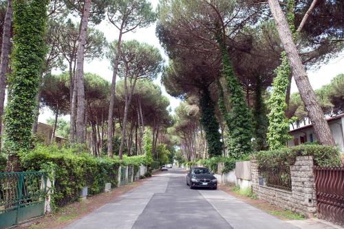 Forte Dei Marmi Italy Booking Discount agoda.com