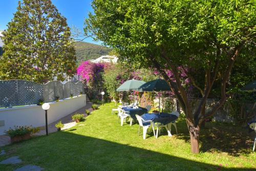 Ischia Island Italy Booking Discount agoda.com