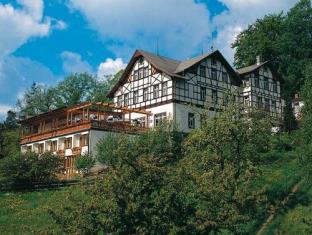 Reinhardtsdorf-Schona Germany Booking Discount agoda.com