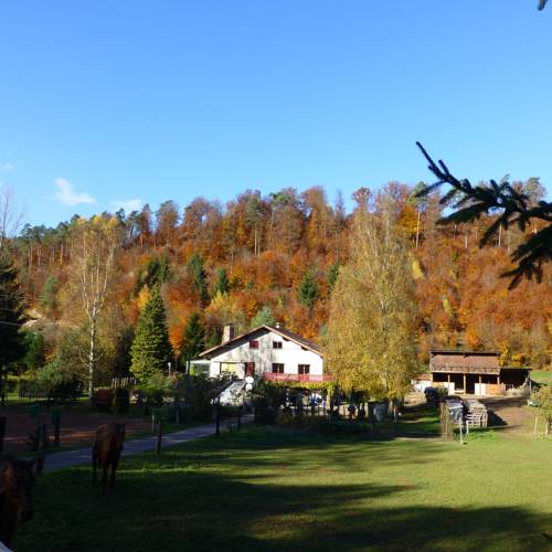 soucht France Booking Discount booking.com