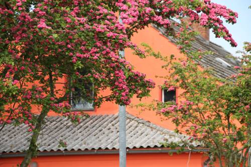 Menz Germany Booking Discount booking.com