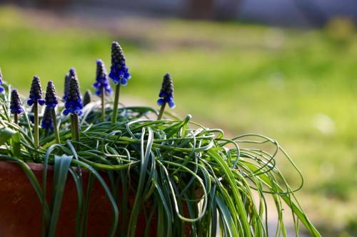 Peschiera del Garda Italy Booking Discount booking.com