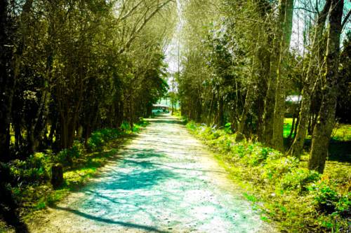 Ancud Chili Réservation Réduction booking.com