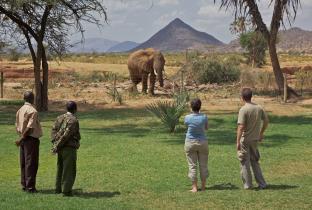 Samburu National Park Kenya Booking Discount agoda.com