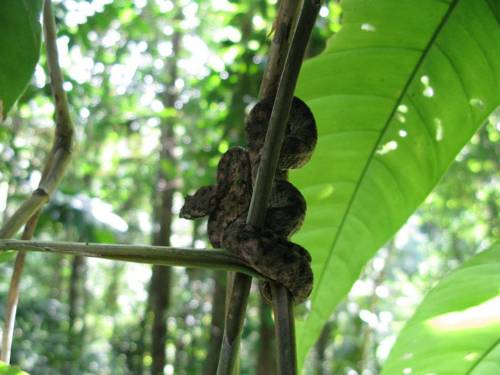 Puerto Viejo Costa Rica Réservation Réduction booking.com