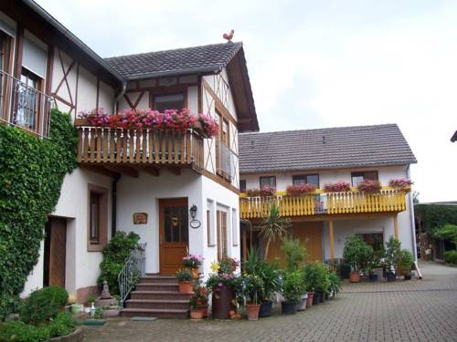 Schwanau-Wittenweier Germany Booking Discount booking.com