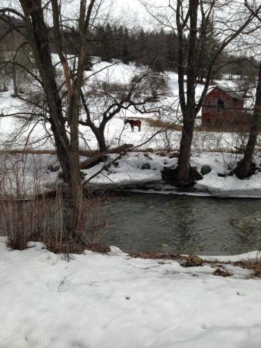 Sandgate (VT) United States Booking Discount agoda.com