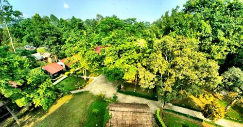 Sauraha Népal Réservation Réduction booking.com