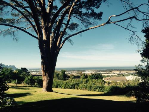 Cape Town South Africa Booking Discount agoda.com