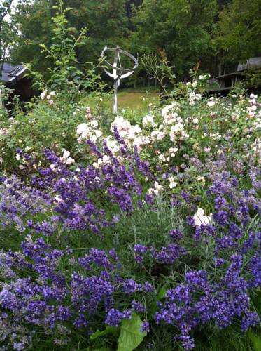 Eben im Pongau Austria Booking Discount booking.com