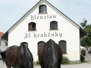 Petrovice Czech Republic Booking Discount agoda.com