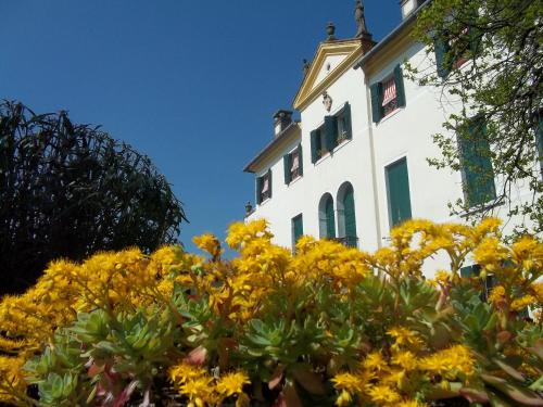 Mira Italy Booking Discount agoda.com