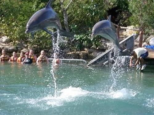 Puerto Aventuras Mexico Booking Discount booking.com