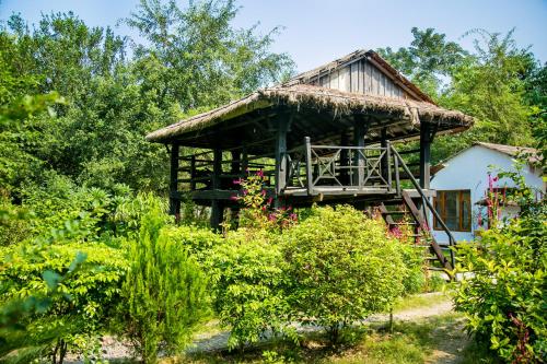 Kawasoti Nepal Booking Discount agoda.com