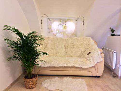 Saint Petersburg Russia Booking Discount booking.com