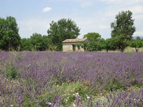 Saignon France Booking Discount booking.com
