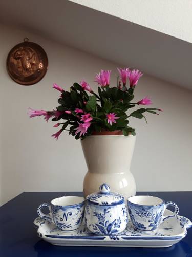 Saint Vincent Italy Booking Discount booking.com