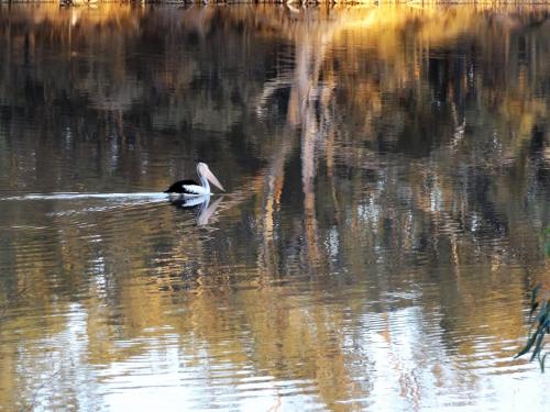 Euston Australia Booking Discount agoda.com