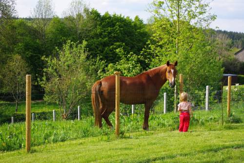 Tenneville Belgique Réservation Réduction booking.com