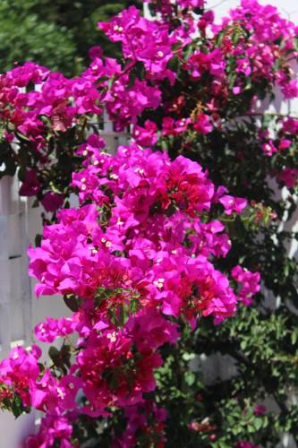 Palermo Italy Booking Discount booking.com