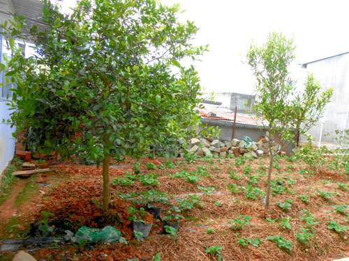 Dalat Viet Nam Booking Discount booking.com