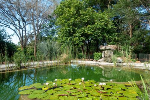 Livingstone Zambia Booking Discount agoda.com