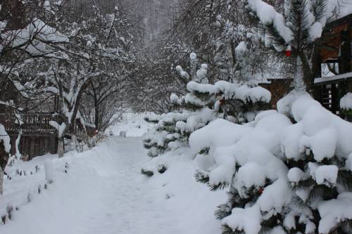 Tkhamakha Russia Booking Discount booking.com