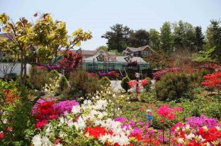 Taean-gun South Korea Booking Discount agoda.com