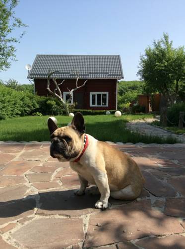 Zheleznovodsk Russie Réservation Réduction booking.com