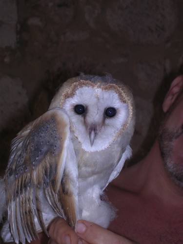 Gállos Greece Booking Discount booking.com