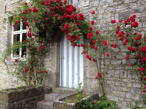 Humain Belgium Booking Discount booking.com