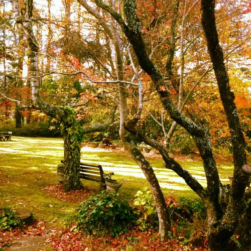 Blackheath Australia Booking Discount booking.com