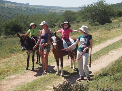 Paterson South Africa Booking Discount booking.com