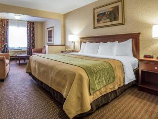 Kennewick (WA) United States Booking Discount agoda.com