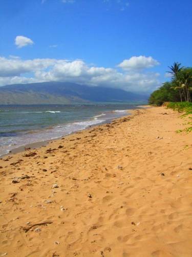 Kihei (Hawaii) United States Booking Discount booking.com