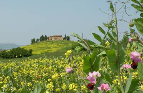 Pienza Italy Booking Discount booking.com