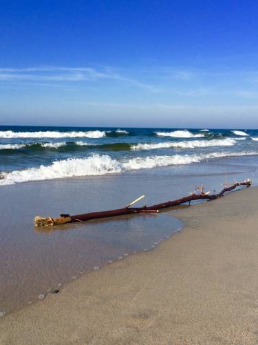 Baltiysk Russia Booking Discount booking.com