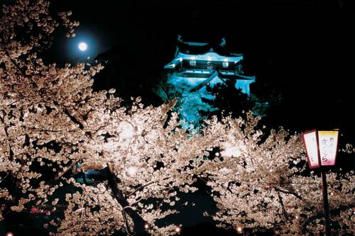 Okazaki Japon Réservation Réduction booking.com