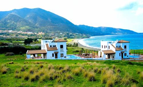 Pachyammos Cyprus Booking Discount booking.com