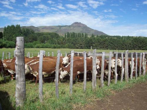 Aluminé Argentine Réservation Réduction booking.com