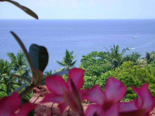 Amed Indonesia Booking Discount booking.com