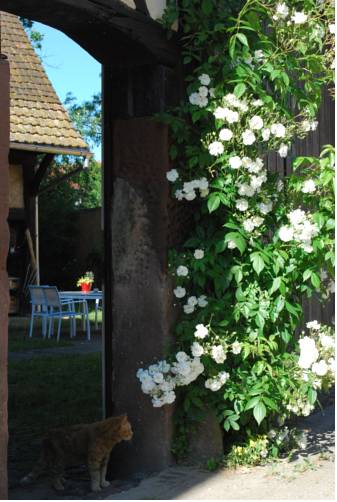 Bourgheim France Booking Discount booking.com