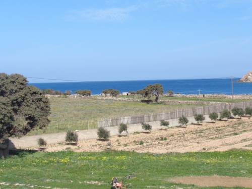 Antiparos Town Greece Booking Discount booking.com