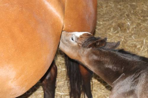 Monte Antico Italy Booking Discount booking.com