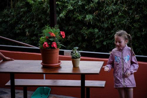 Monteverde Costa Rica Booking Discount agoda.com