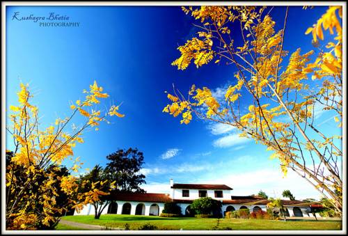 Mossy Point Australia Booking Discount booking.com