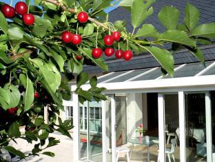 Kriftel Germany Booking Discount agoda.com